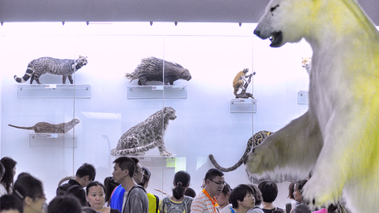 北京自然博物馆 | 快乐科普亲子行，流连忘返～。-旅游互动聚合社区