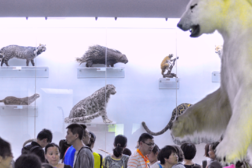 北京自然博物馆 | 快乐科普亲子行，流连忘返～。-旅游互动聚合社区