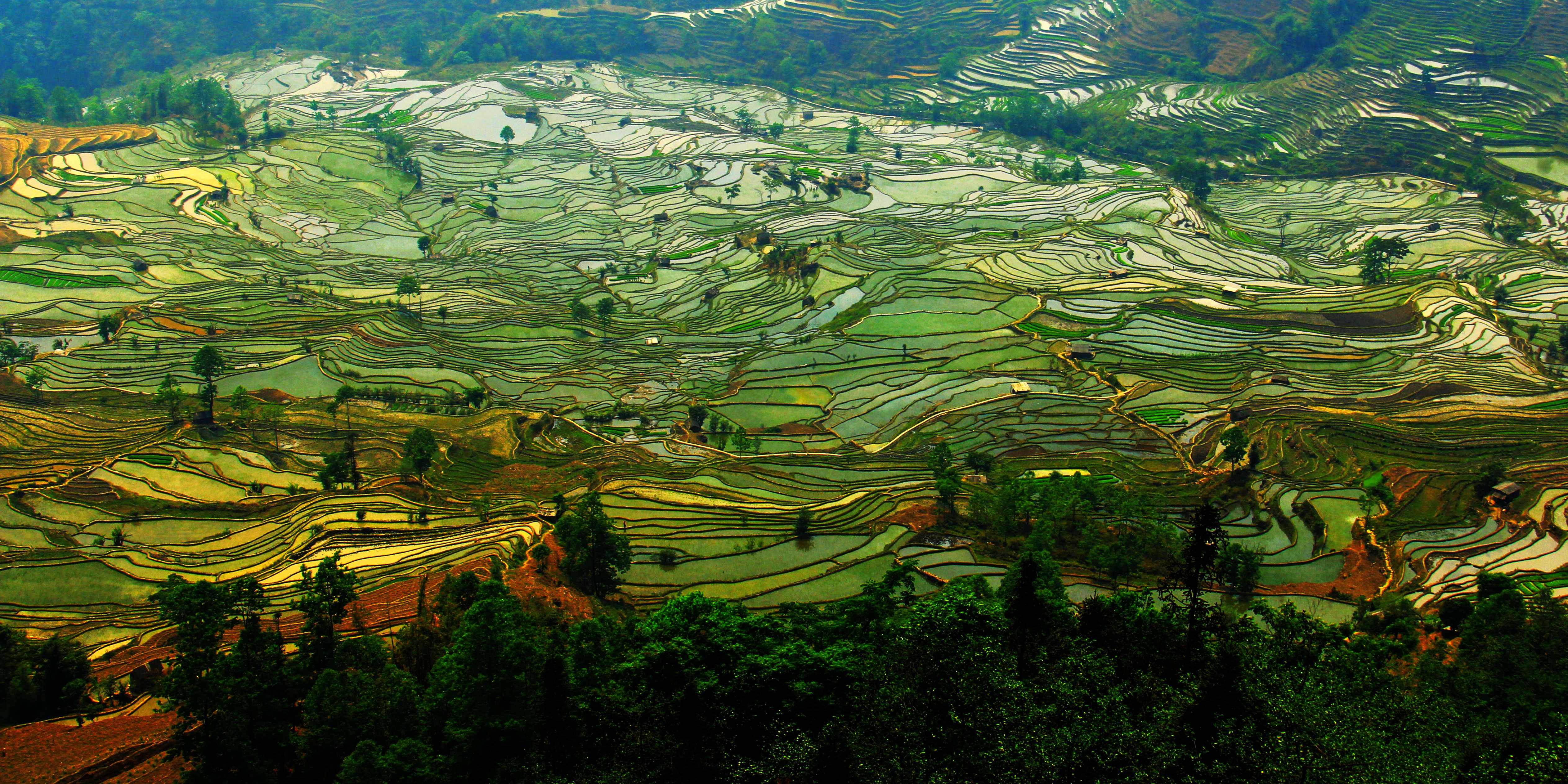 【云南之旅】哀牢山-元阳梯田 -游记社区