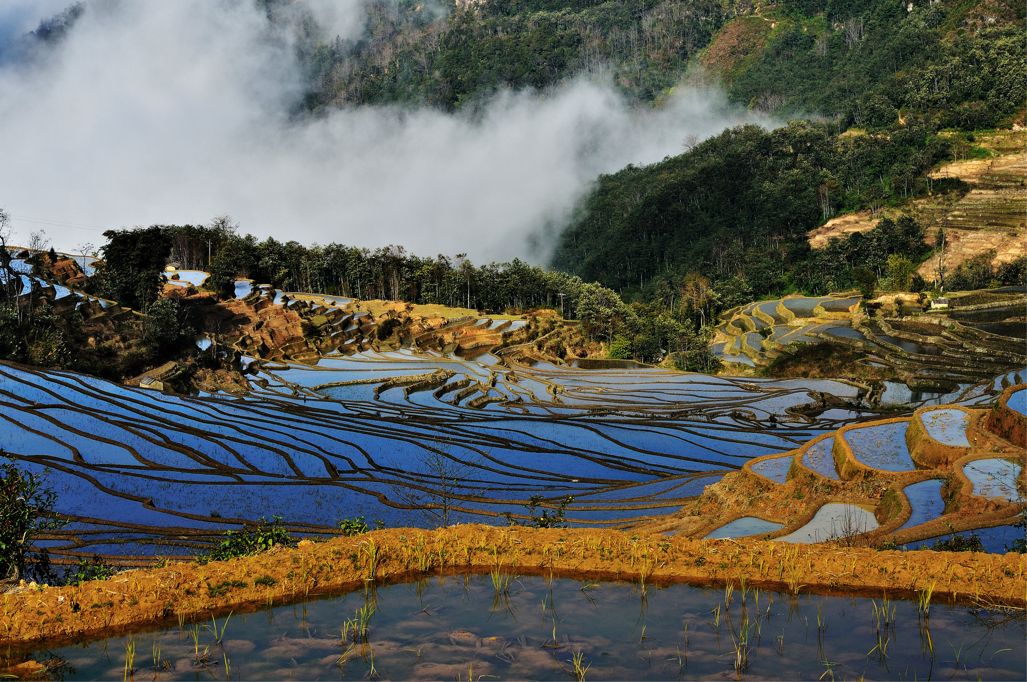 【云南之旅】哀牢山-元阳梯田 -游记社区