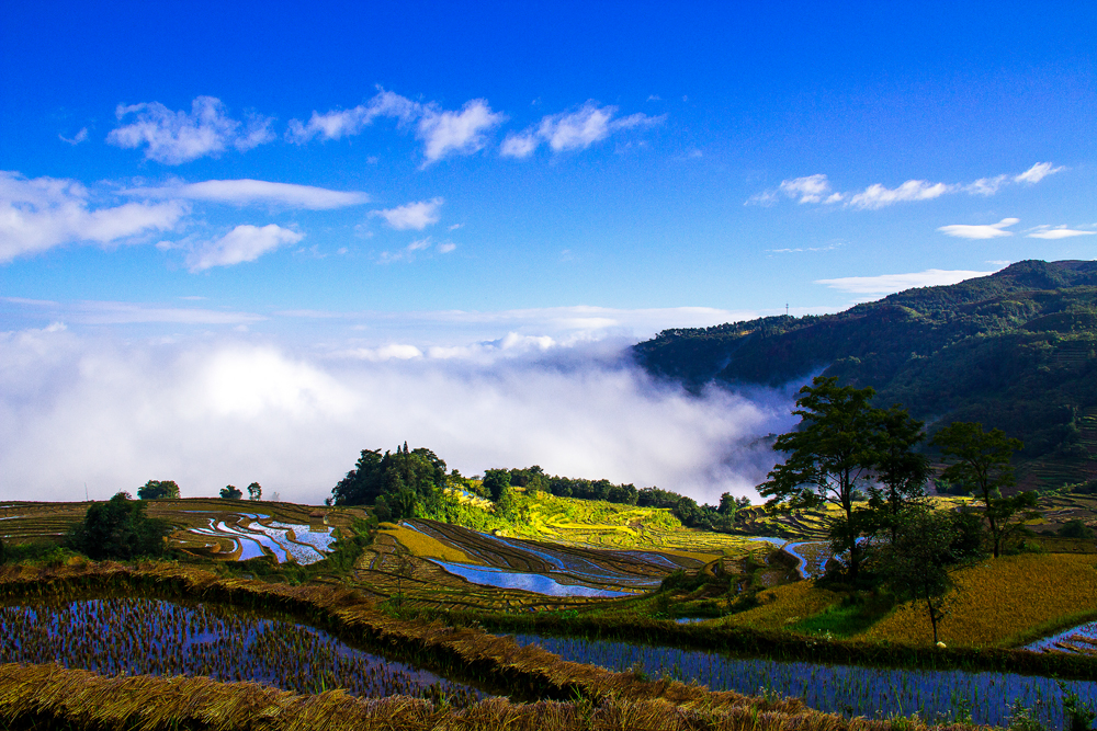 【云南之旅】哀牢山-元阳梯田 -游记社区