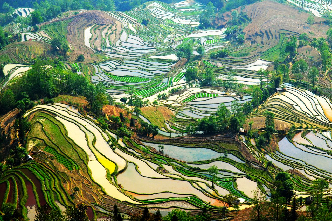 【云南之旅】哀牢山-元阳梯田 -游记社区